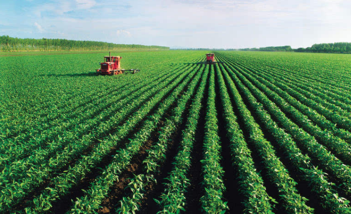 高新技术产业推动智慧农业发展 - _农视云可视农业直播平台